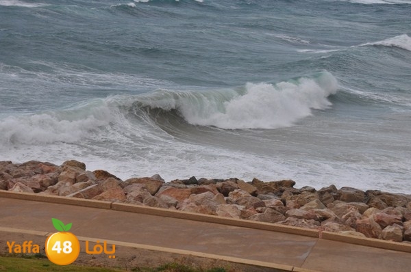 yaffa rain 1211 (7).JPG